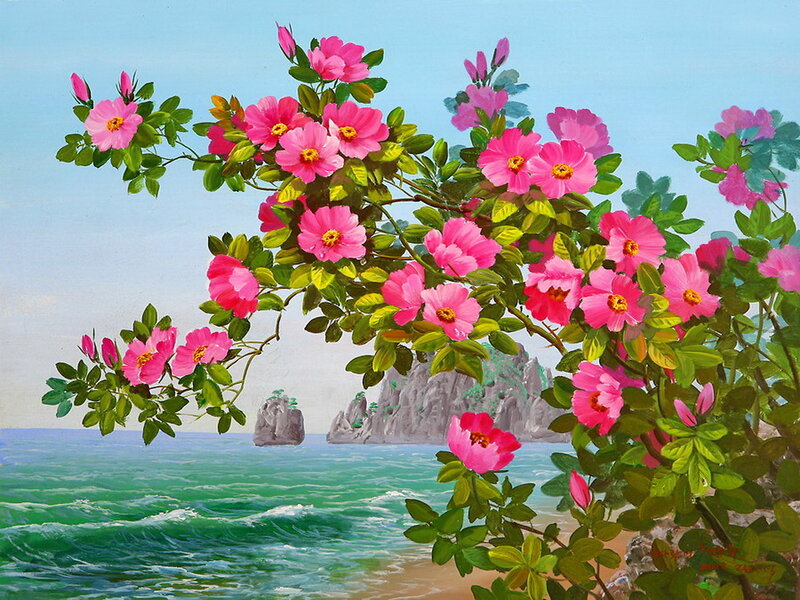 Pink Flowers by Sea — Serene