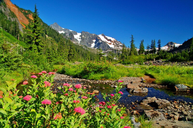 Pink Flowers by Stream — Green, Serene