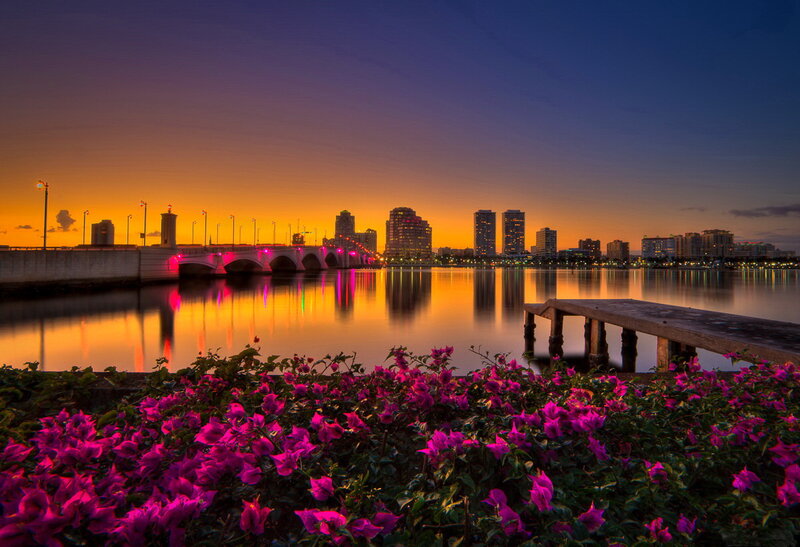 Pink Flowers by Water