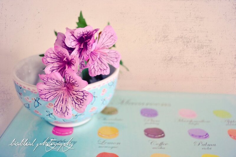 Pink Flowers in a Bowl
