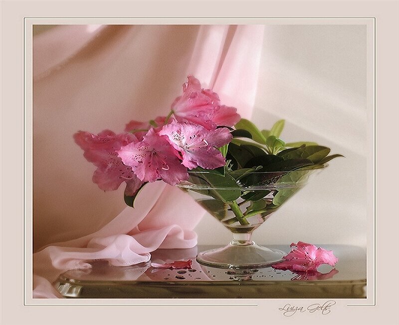 Pink flowers in a glass bowl