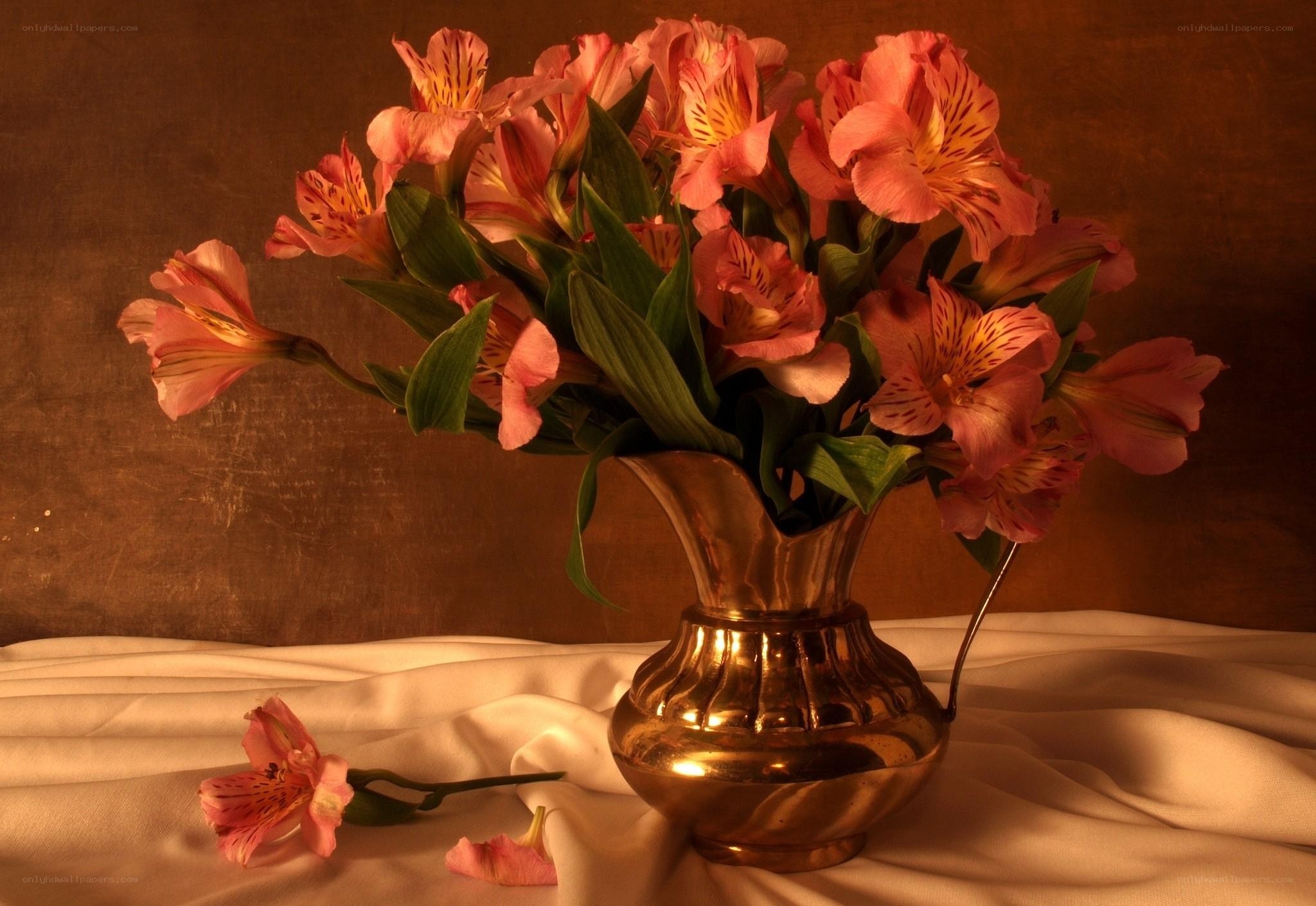Pink flowers in a golden vase