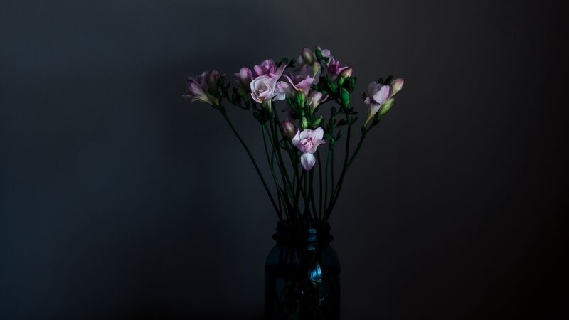 Pink Flowers in a Jar