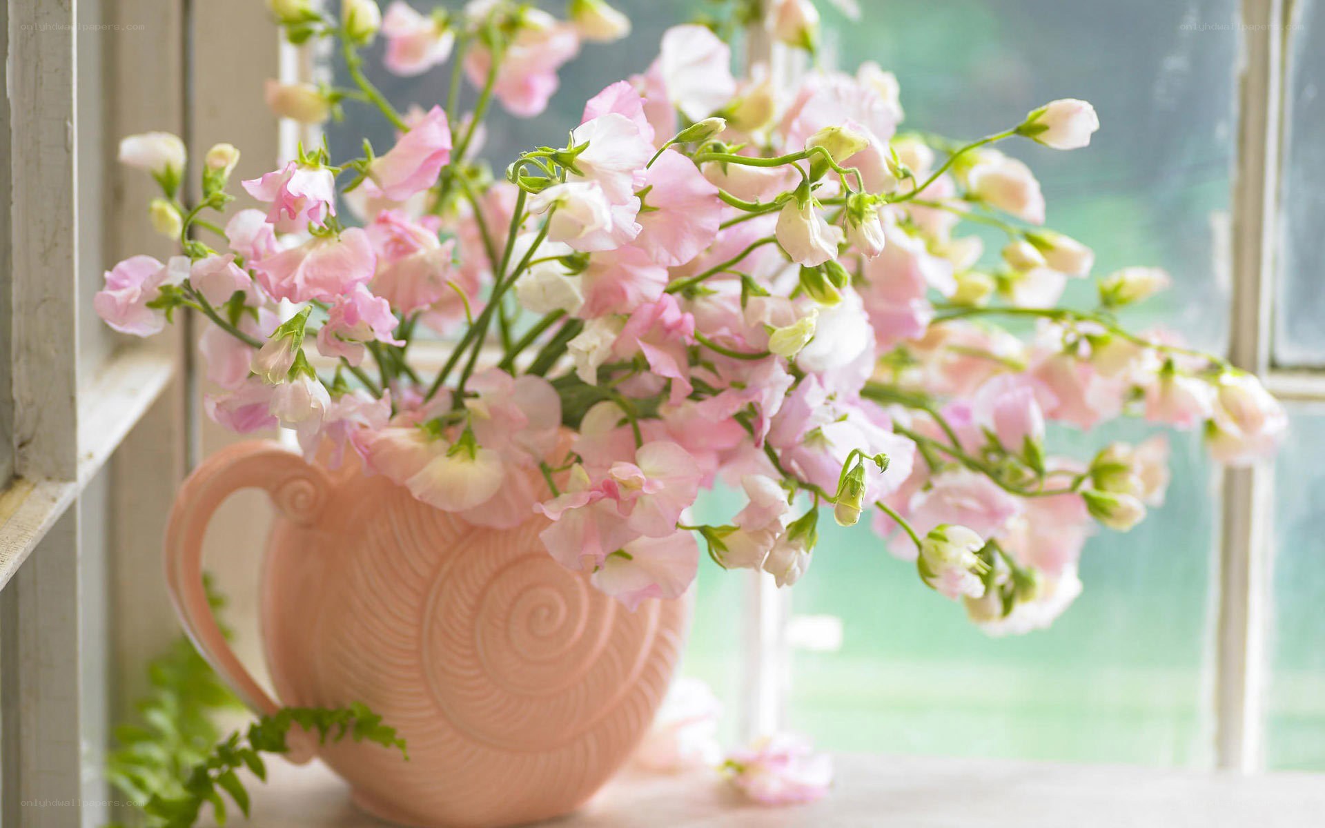 Pink flowers in a pink vase