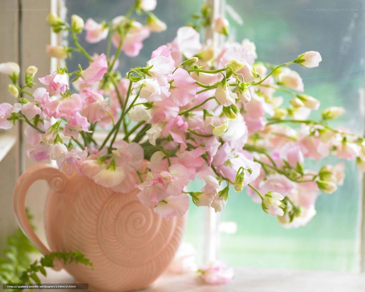 Pink flowers in a pink vase
