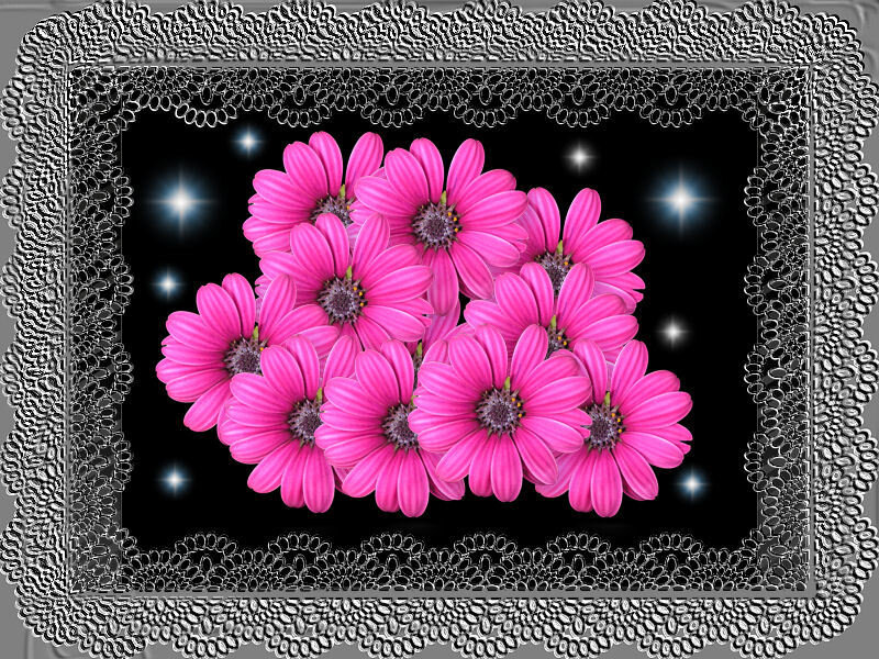 Pink flowers in a silver frame