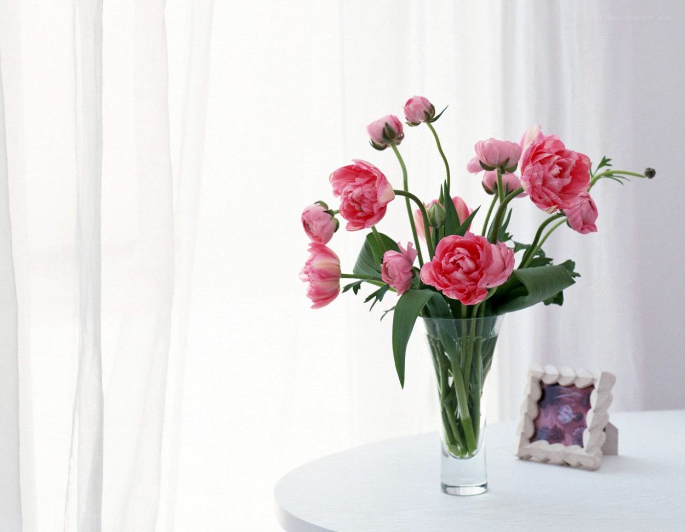 Pink flowers in a vase