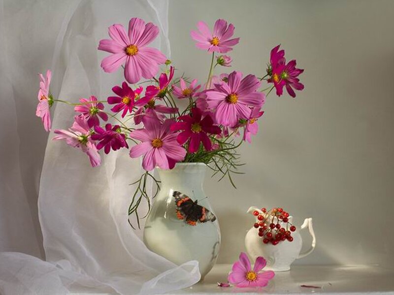 Pink flowers in a vase