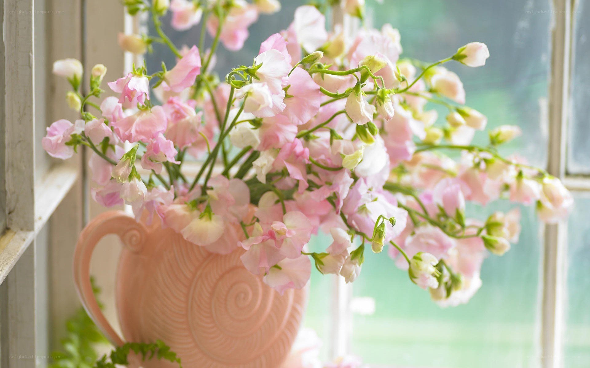 Pink flowers in a vase