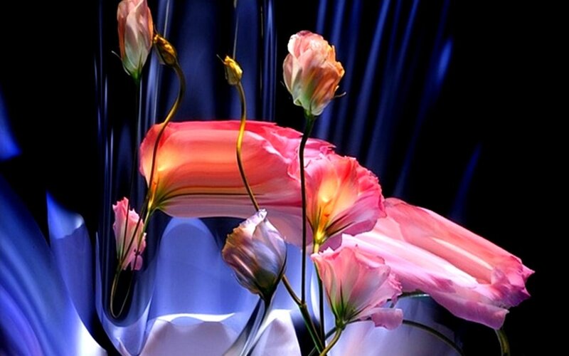 Pink Flowers in a Vase — Dramatic, Digital Art