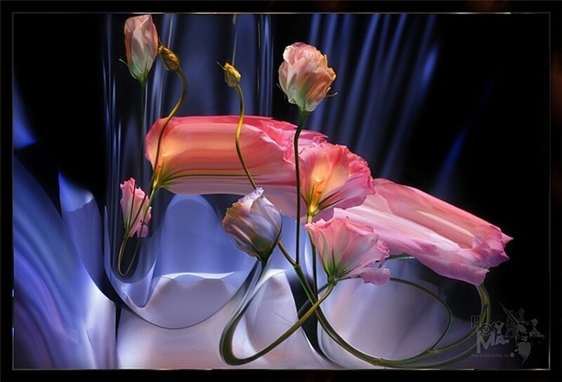 Pink Flowers in a Vase — Dramatic