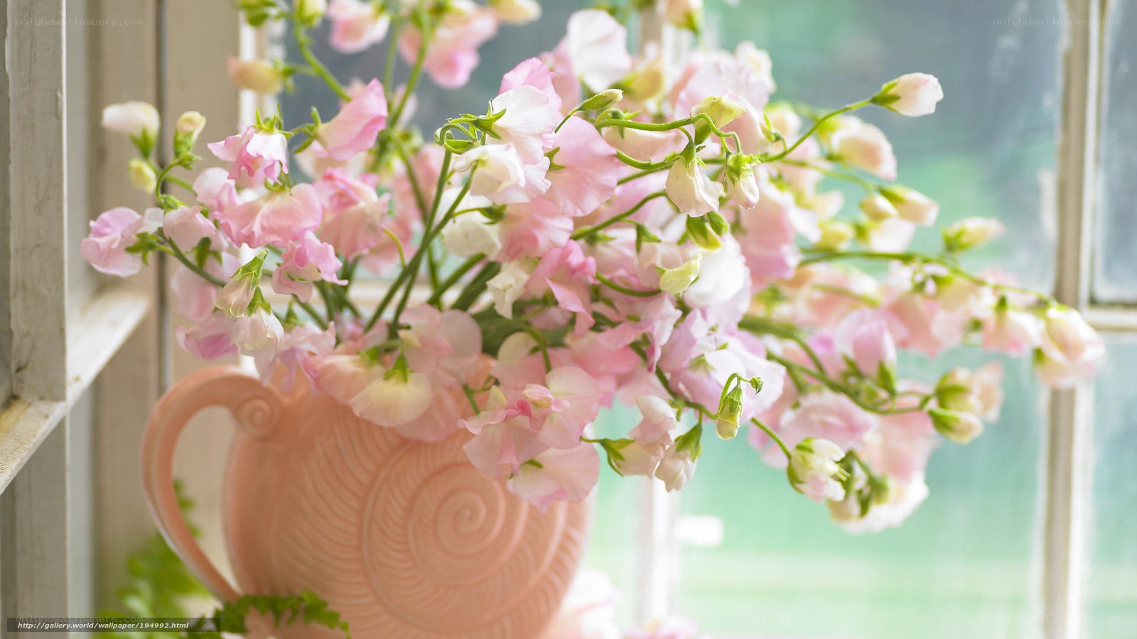 Pink flowers in a vase