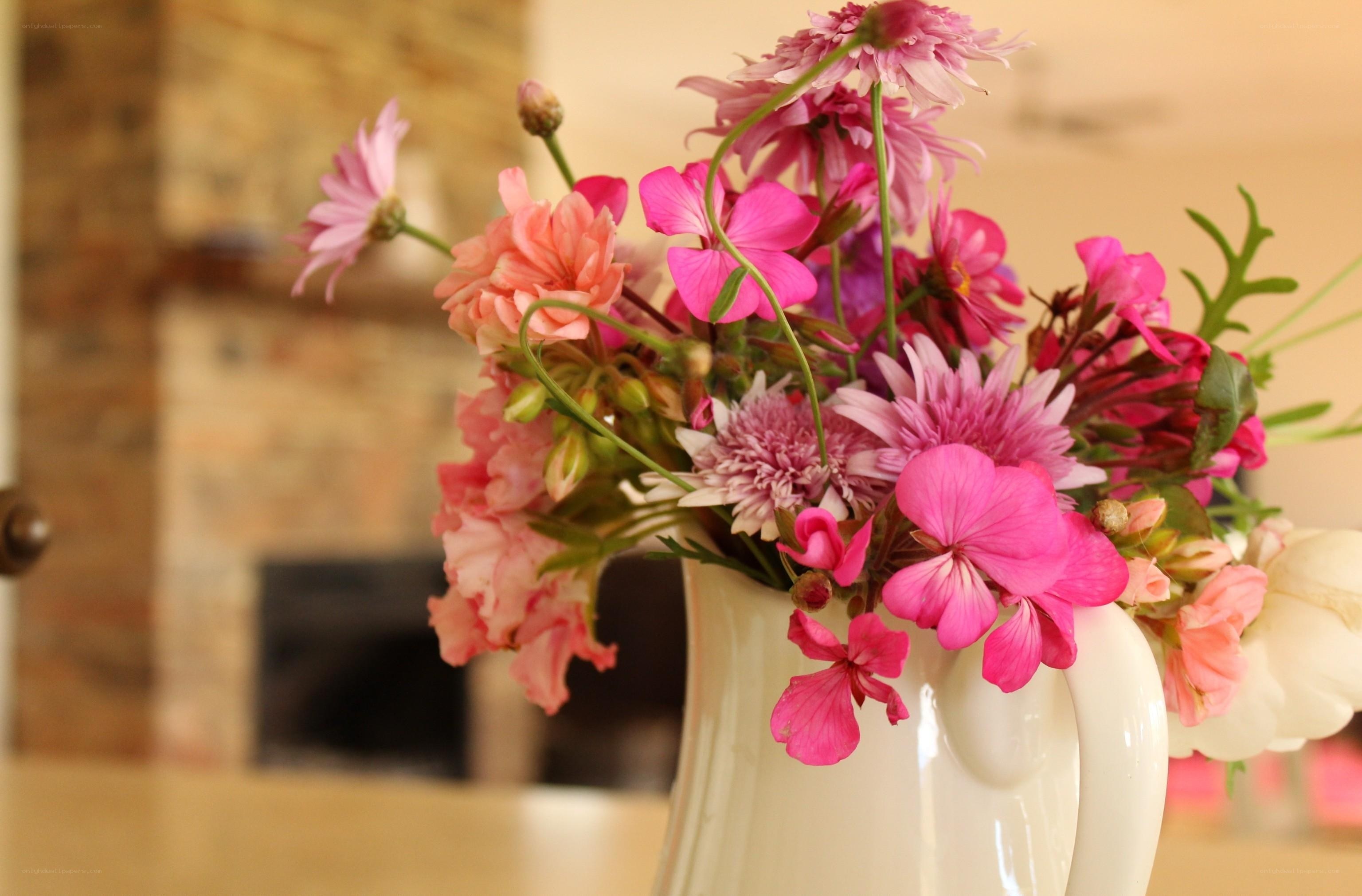 Pink flowers in a white vase