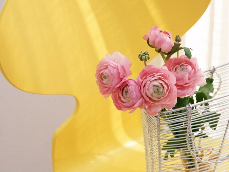 Pink flowers in a wire basket