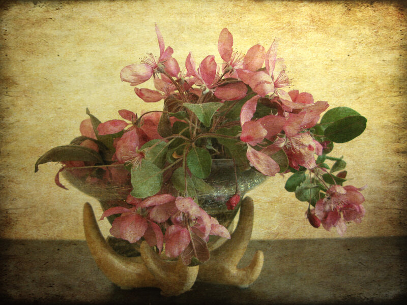 Pink Flowers in Antler Vase