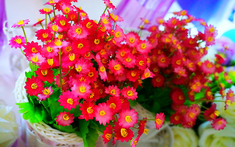 Pink Flowers in Basket — Bright
