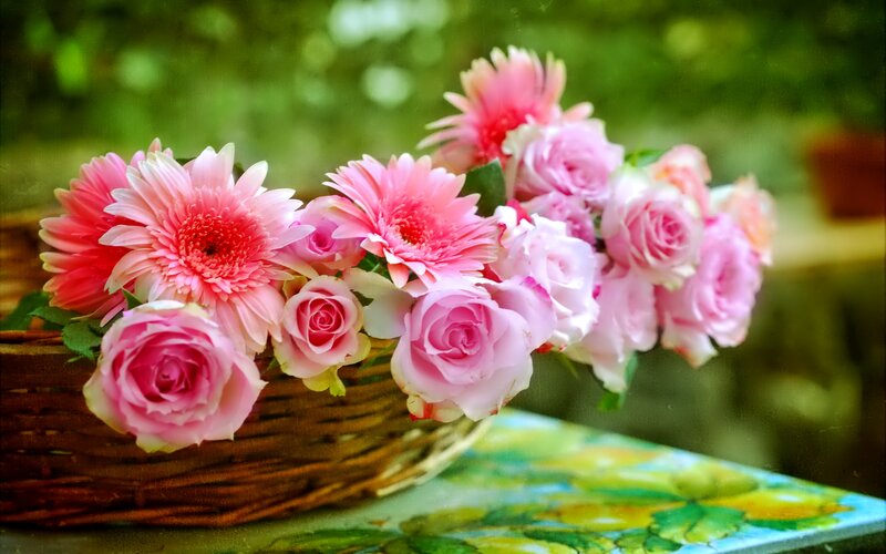 Pink Flowers in Basket — Serene, Afternoon