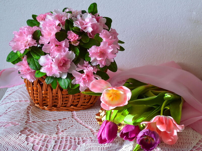 Pink Flowers in Basket — Serene, Spring, Photograph