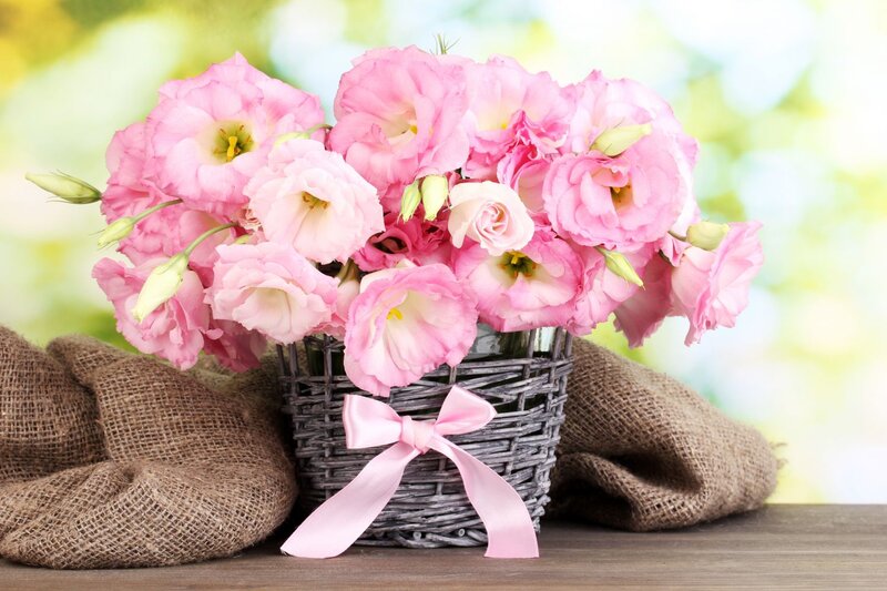 Pink Flowers in Basket — Serene, Spring