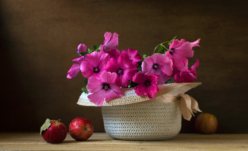 Pink Flowers in Basket