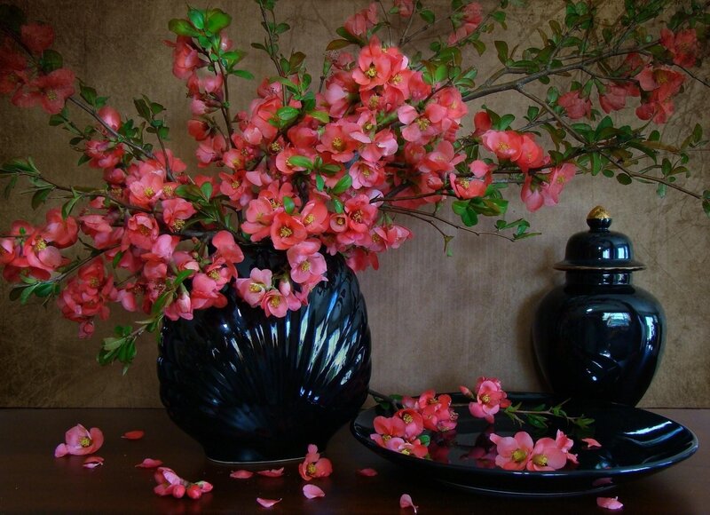 Pink flowers in black vase