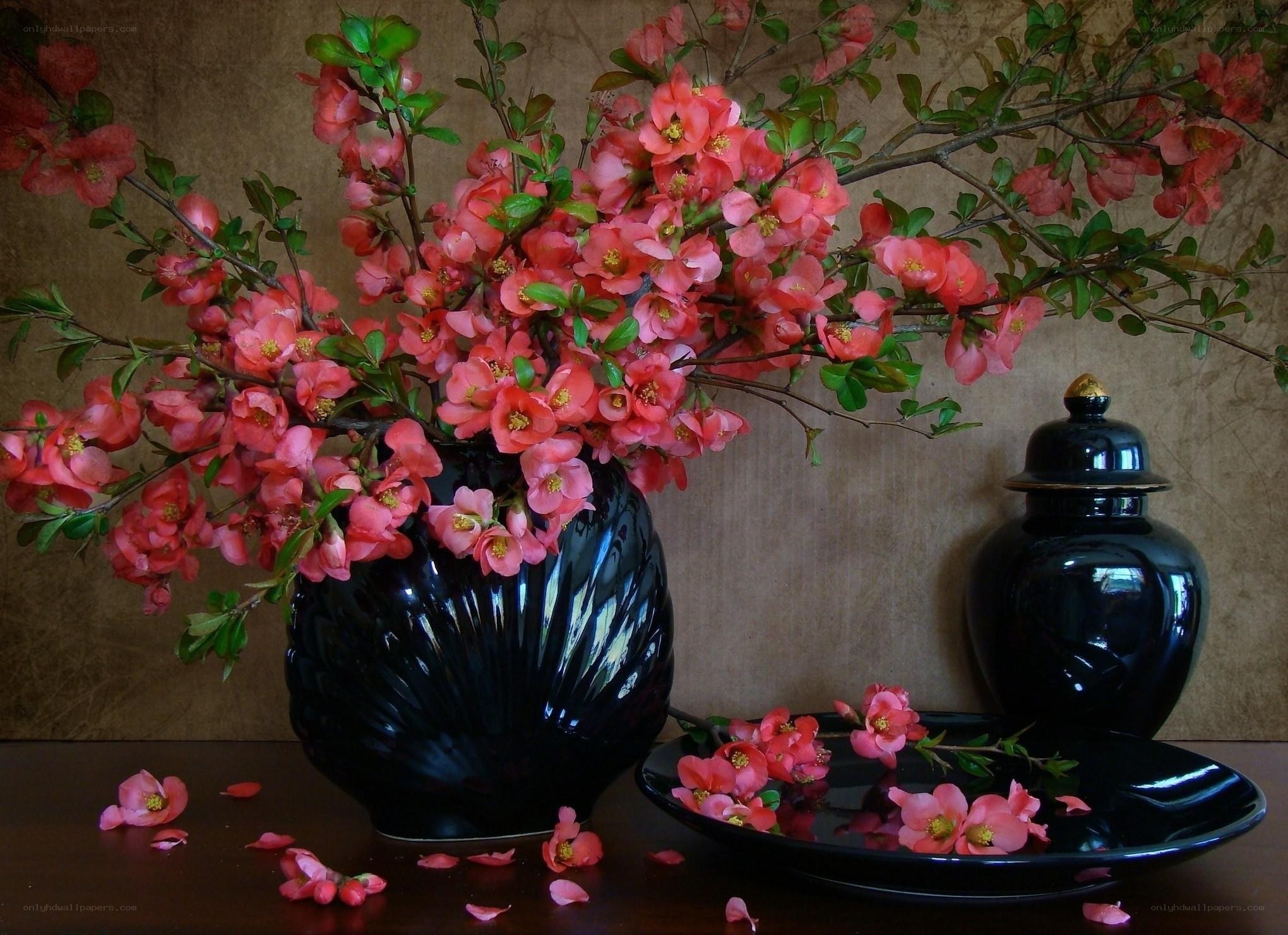 Pink flowers in black vase