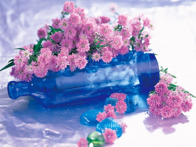 Pink Flowers in Blue Bottle — Calm, Photograph