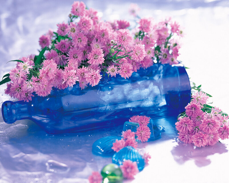 Pink Flowers in Blue Bottle — Calm