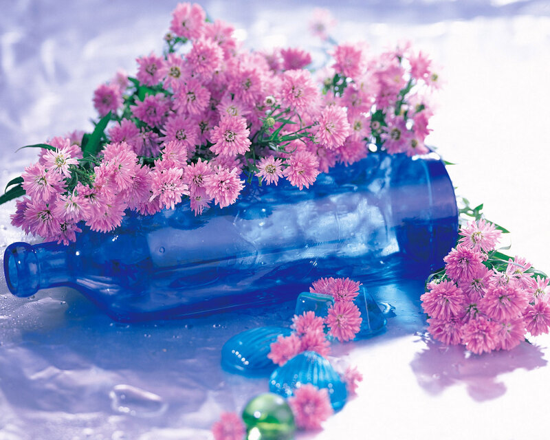 Pink Flowers in Blue Bottle — Serene, Photograph, Shells, Ice