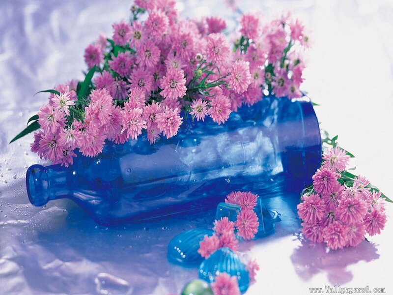 Pink Flowers in Blue Bottle — Serene, Photograph, Shells