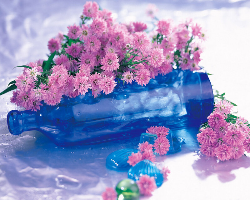 Pink Flowers in Blue Bottle — Serene