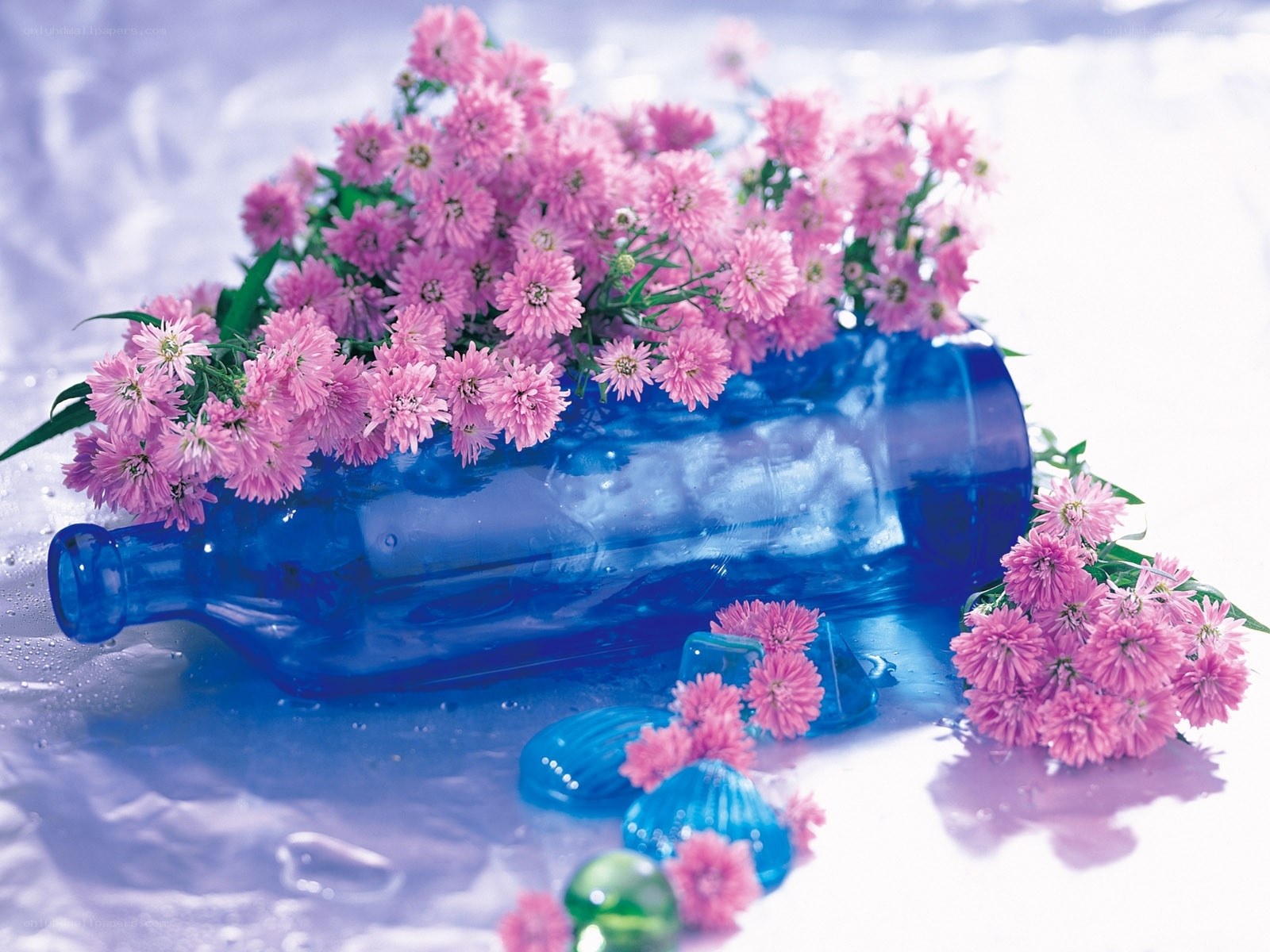 Pink flowers in blue bottle