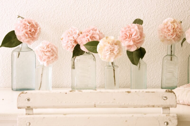 Pink Flowers in Bottles — Serene
