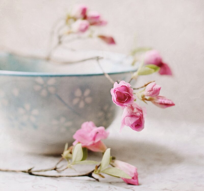 Pink Flowers in Bowl — Serene, Spring