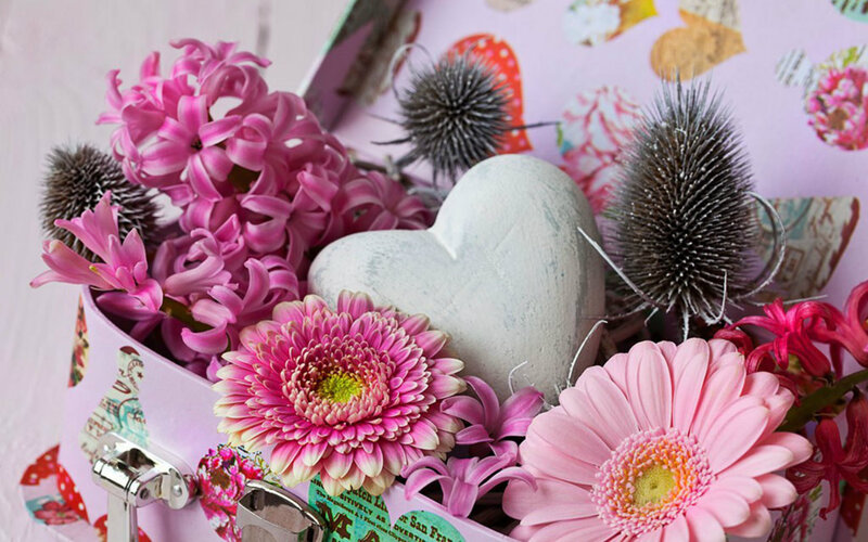 Pink Flowers in Box — Calm, Photograph