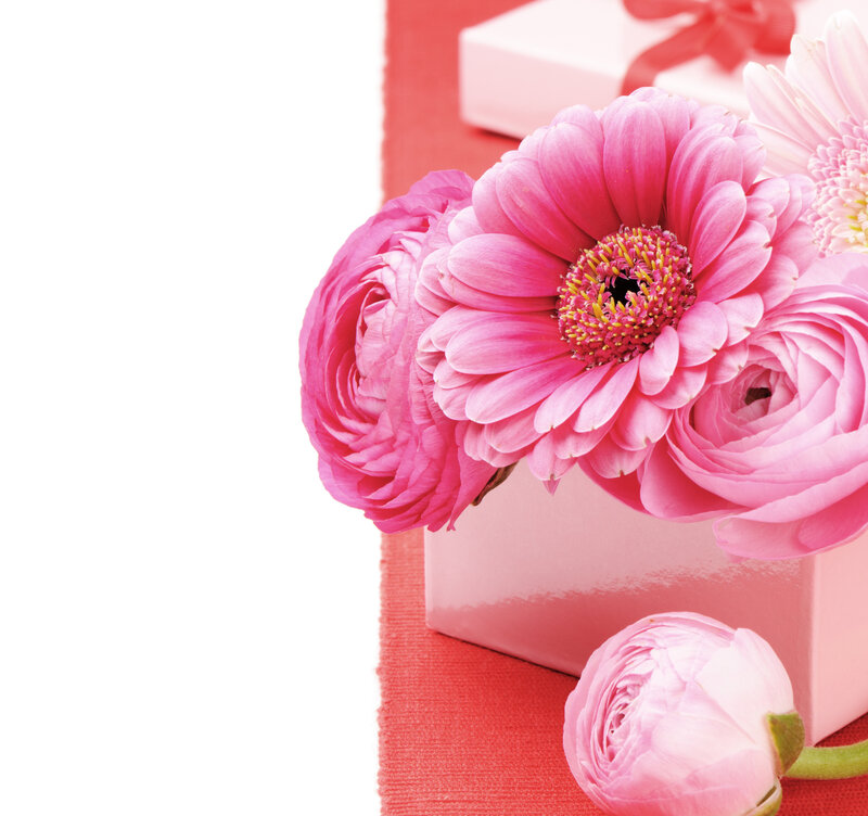 Pink Flowers in Box — Calm
