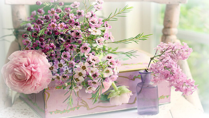 Pink Flowers in Box — Serene