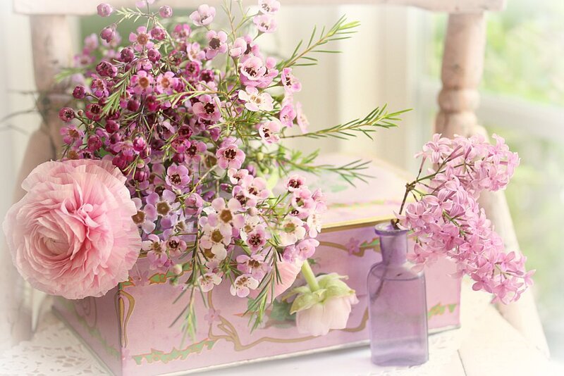 Pink Flowers in Box