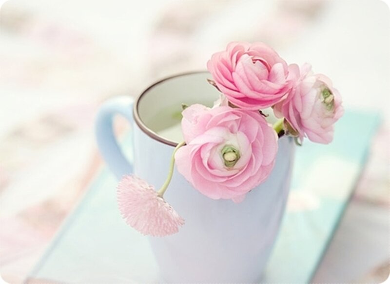 Pink Flowers in Cup