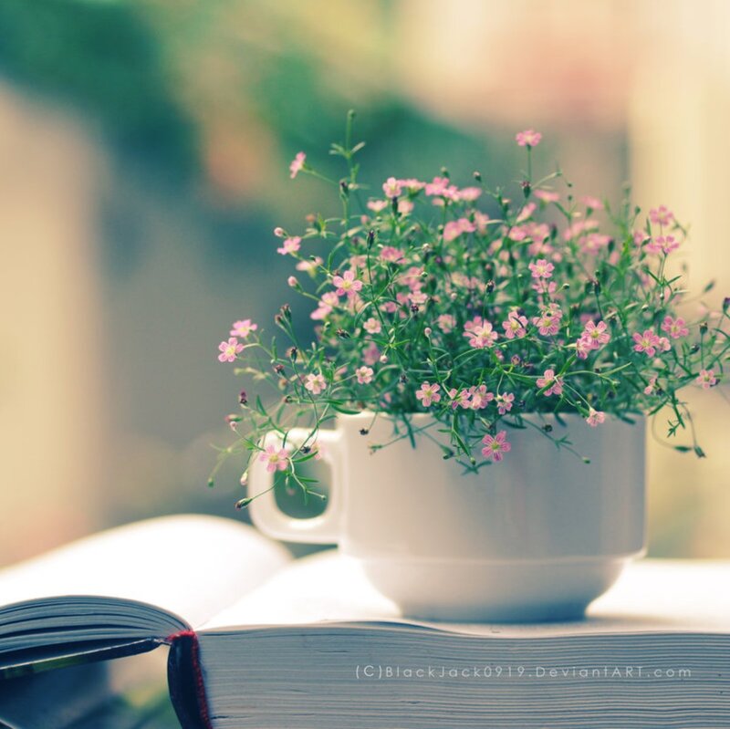 Pink Flowers in Cup — White, Serene