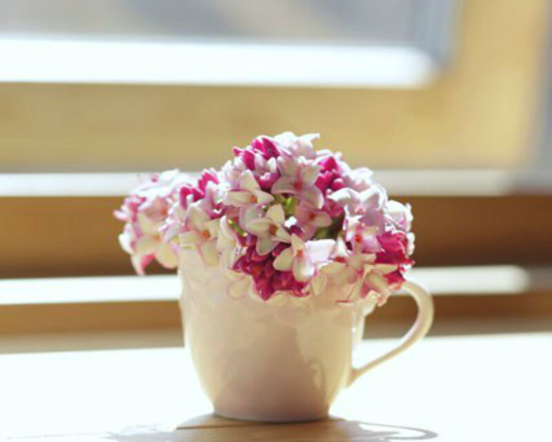 Pink Flowers in Cup — White