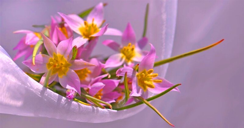 Pink Flowers in Fabric