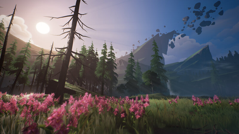 Pink Flowers in Forest — Green, Serene, Sunset