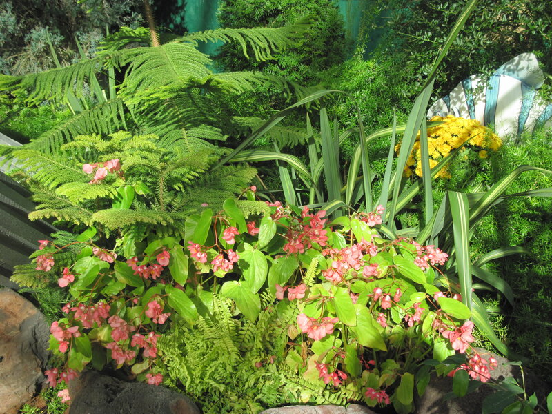 Pink Flowers in Garden — Green, Serene