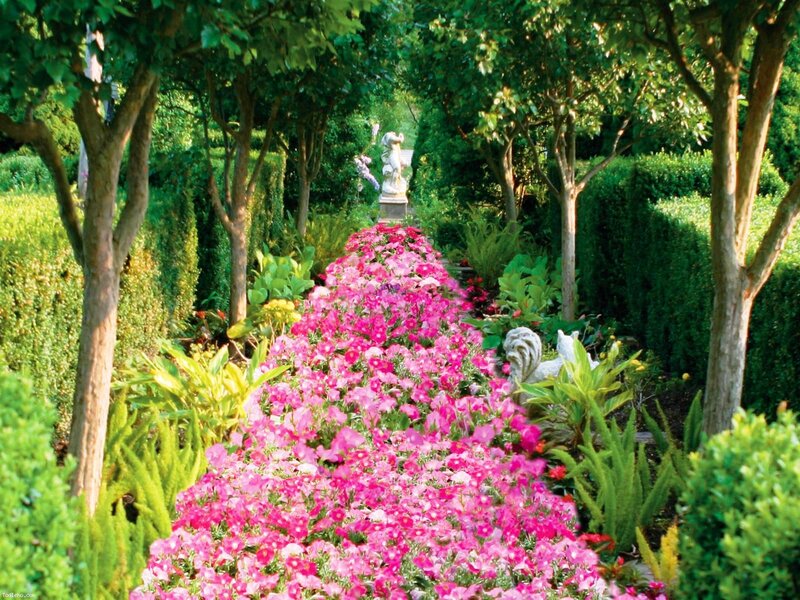 Pink Flowers in Garden — Serene, Afternoon, Photograph, Statue