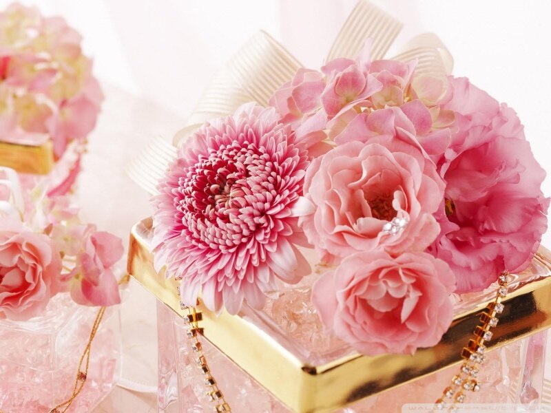 Pink Flowers in Glass Box