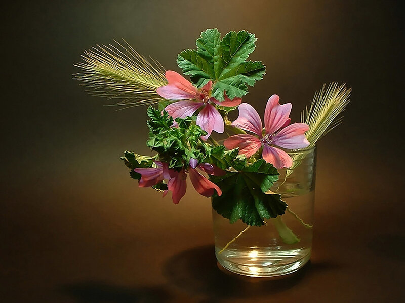 Pink Flowers in Glass — Brown