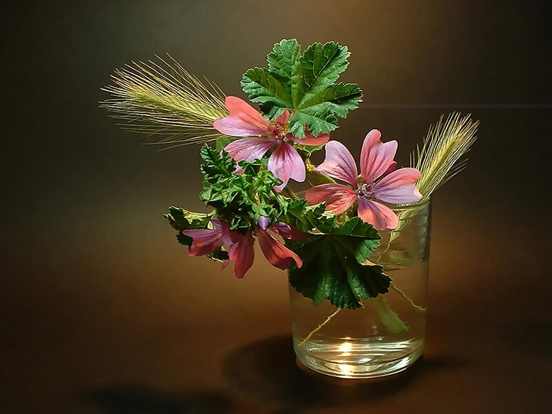 Pink Flowers in Glass — Green, Dramatic