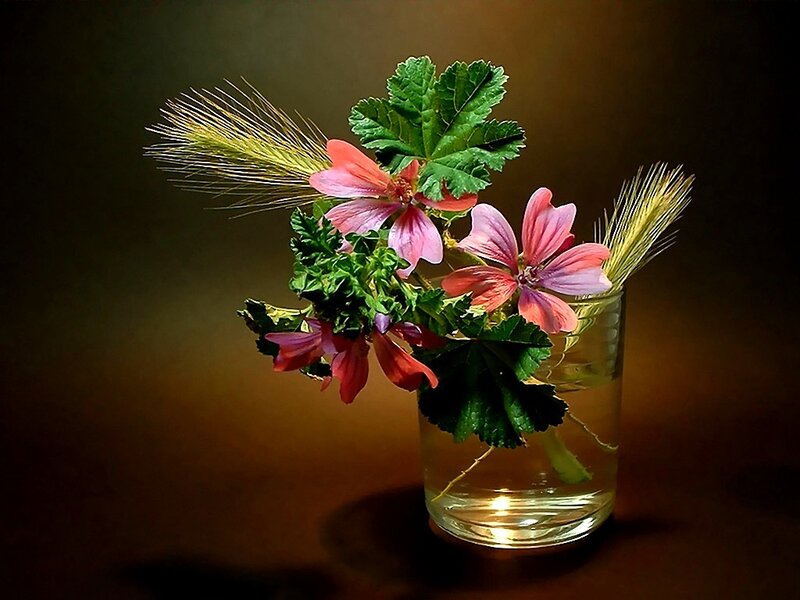 Pink Flowers in Glass — Green