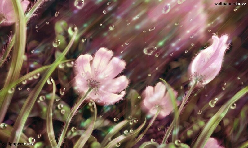 Pink Flowers in Grass — Dreamy